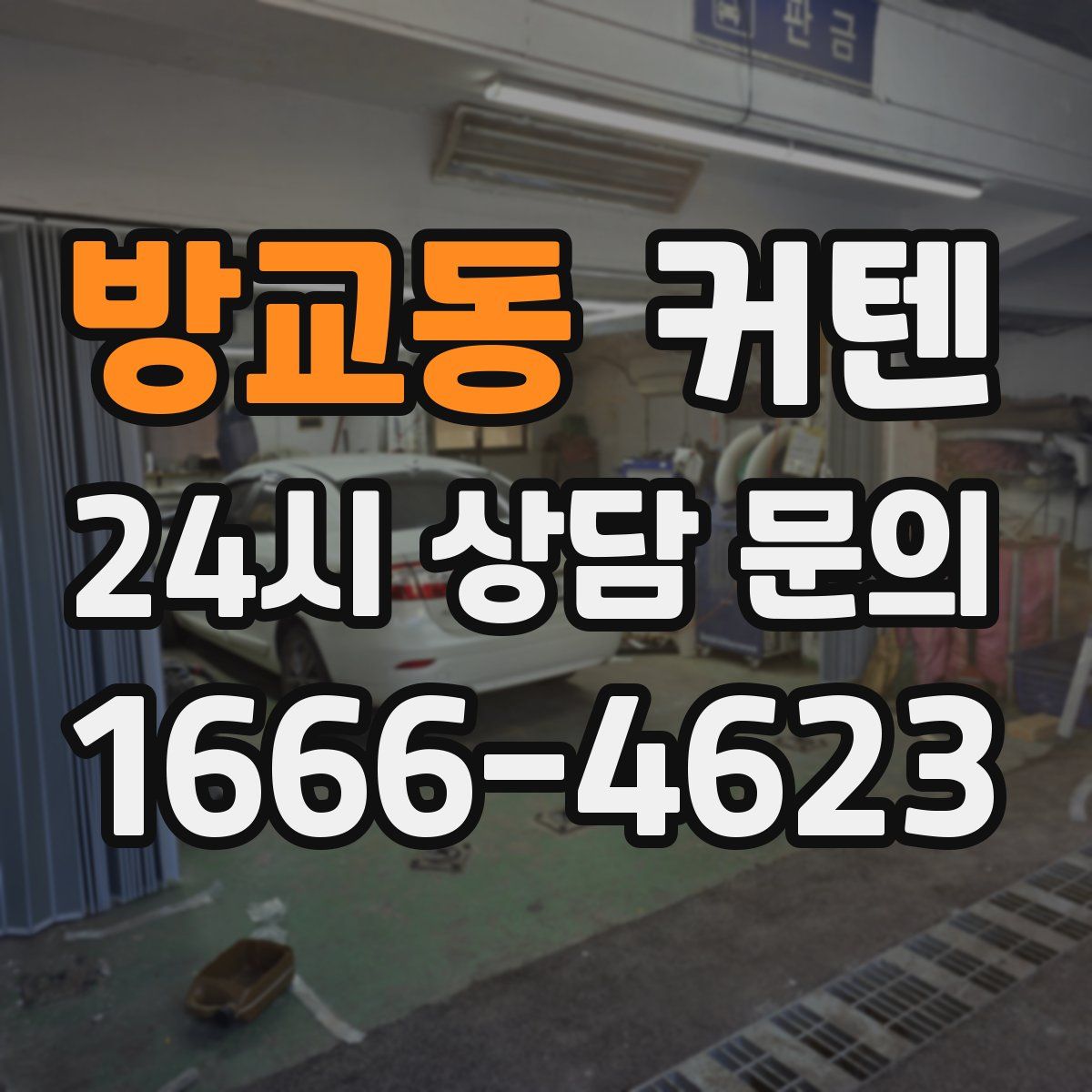 방교동 커텐