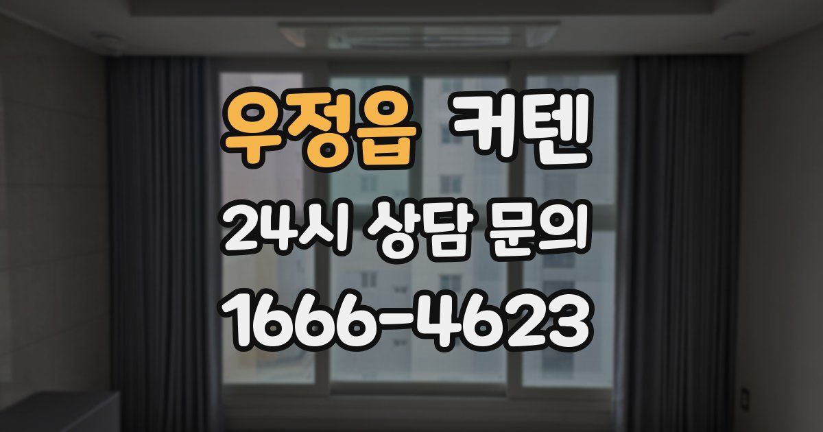 우정읍 커텐