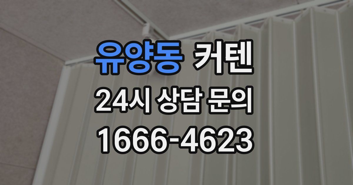 유양동 커텐