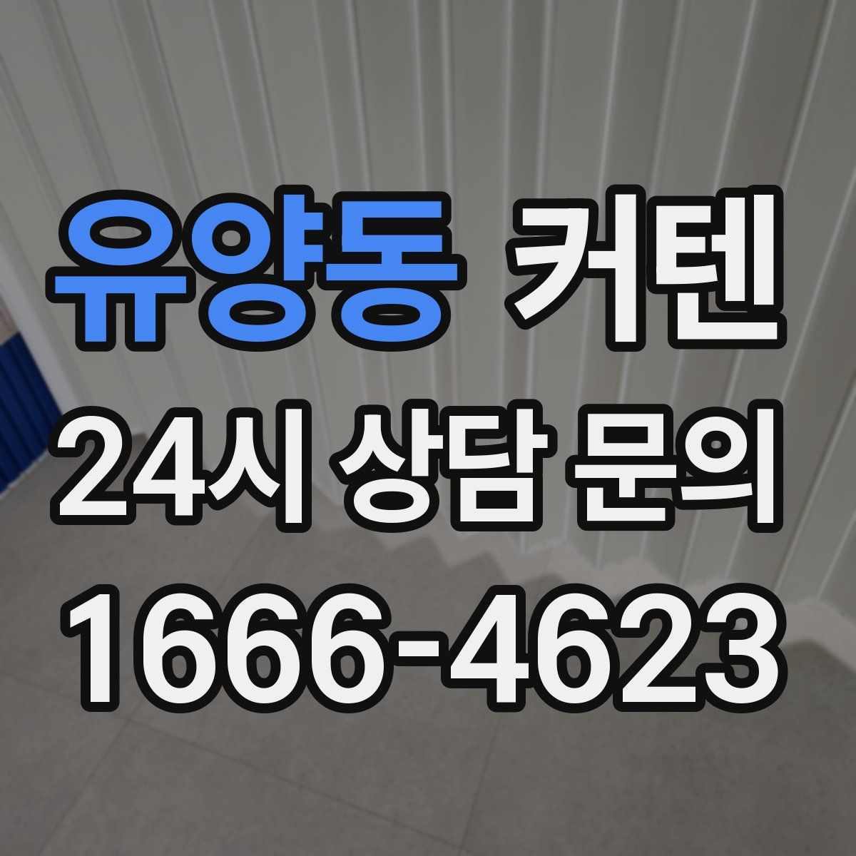 유양동 커텐
