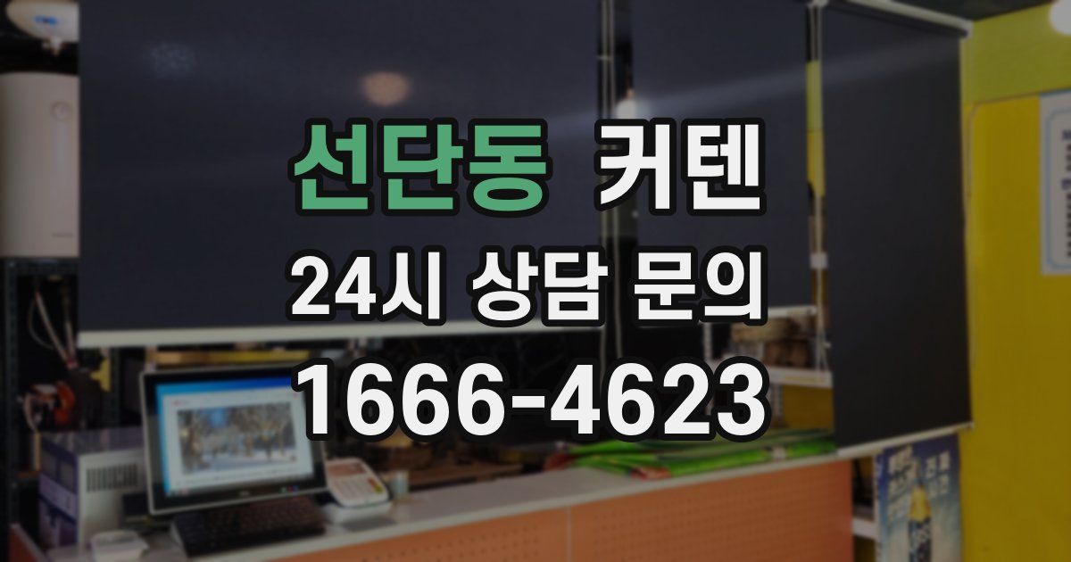 선단동 커텐