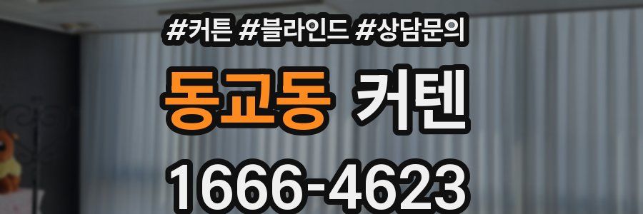 동교동 커텐