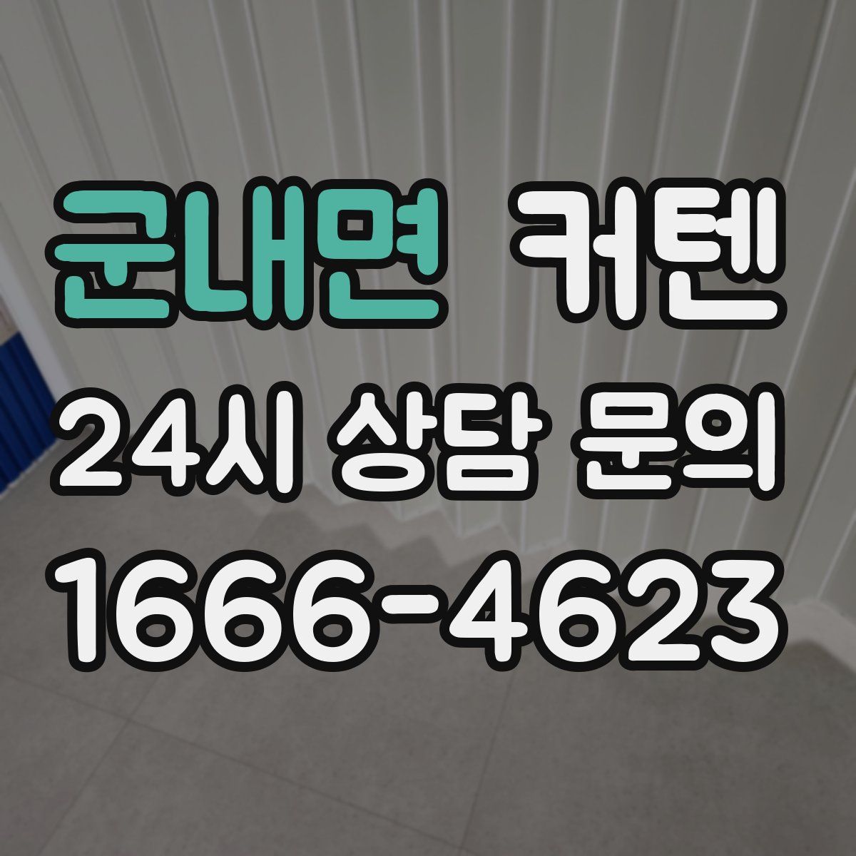 군내면 커텐