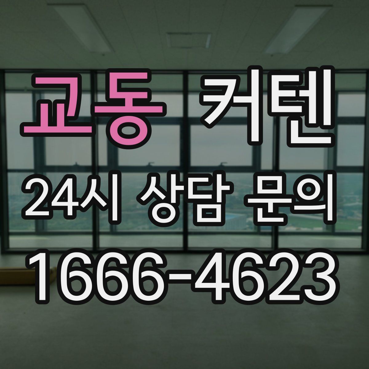 교동 커텐
