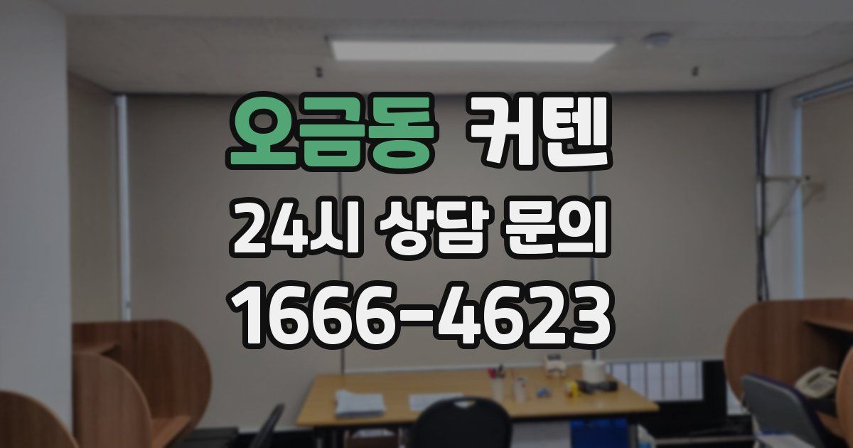 오금동 커텐