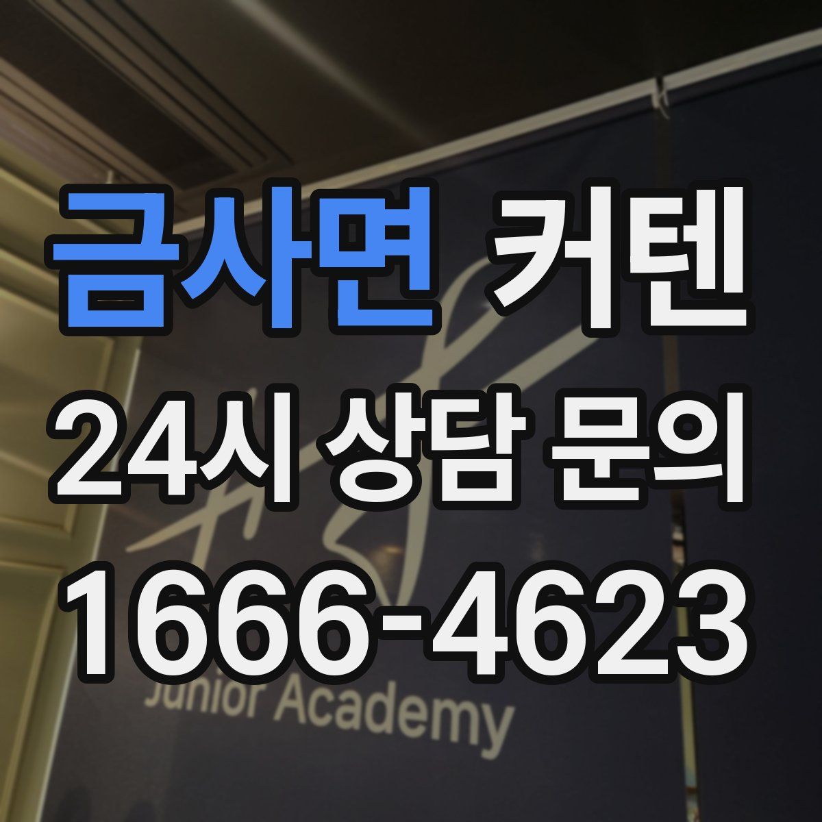 금사면 커텐