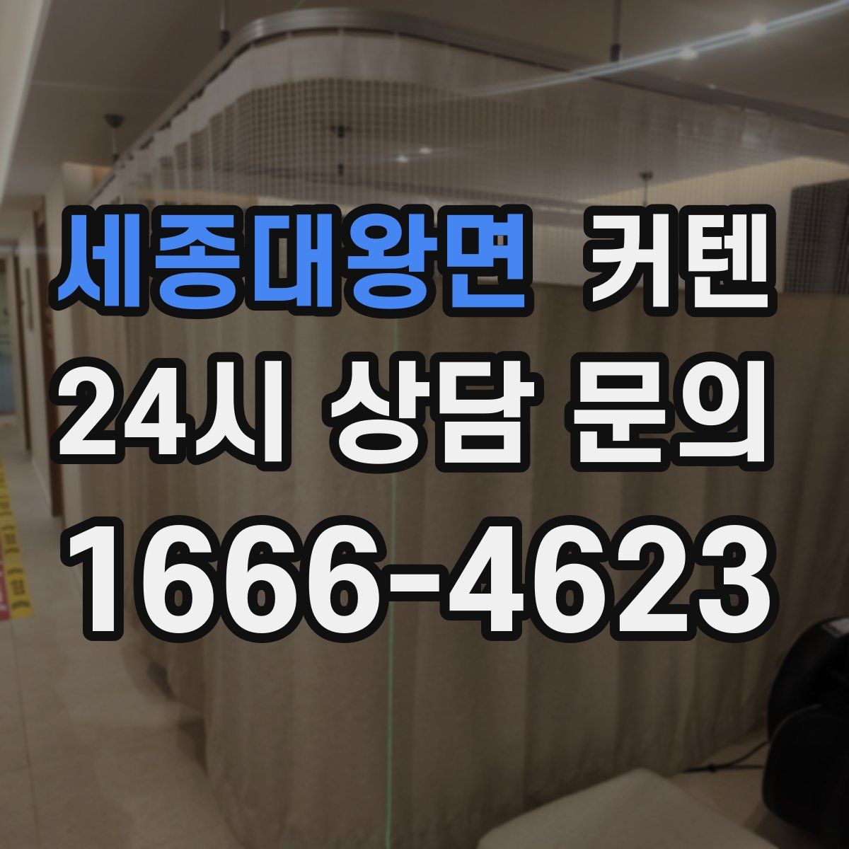 세종대왕면 커텐