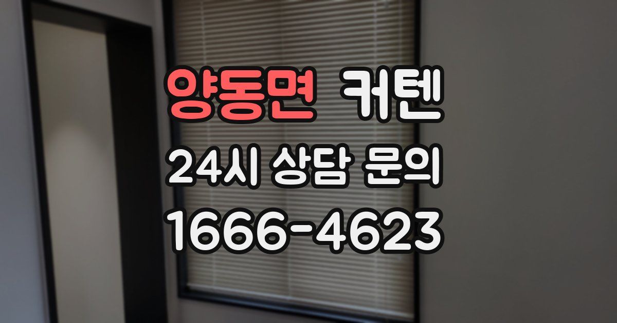 양동면 커텐