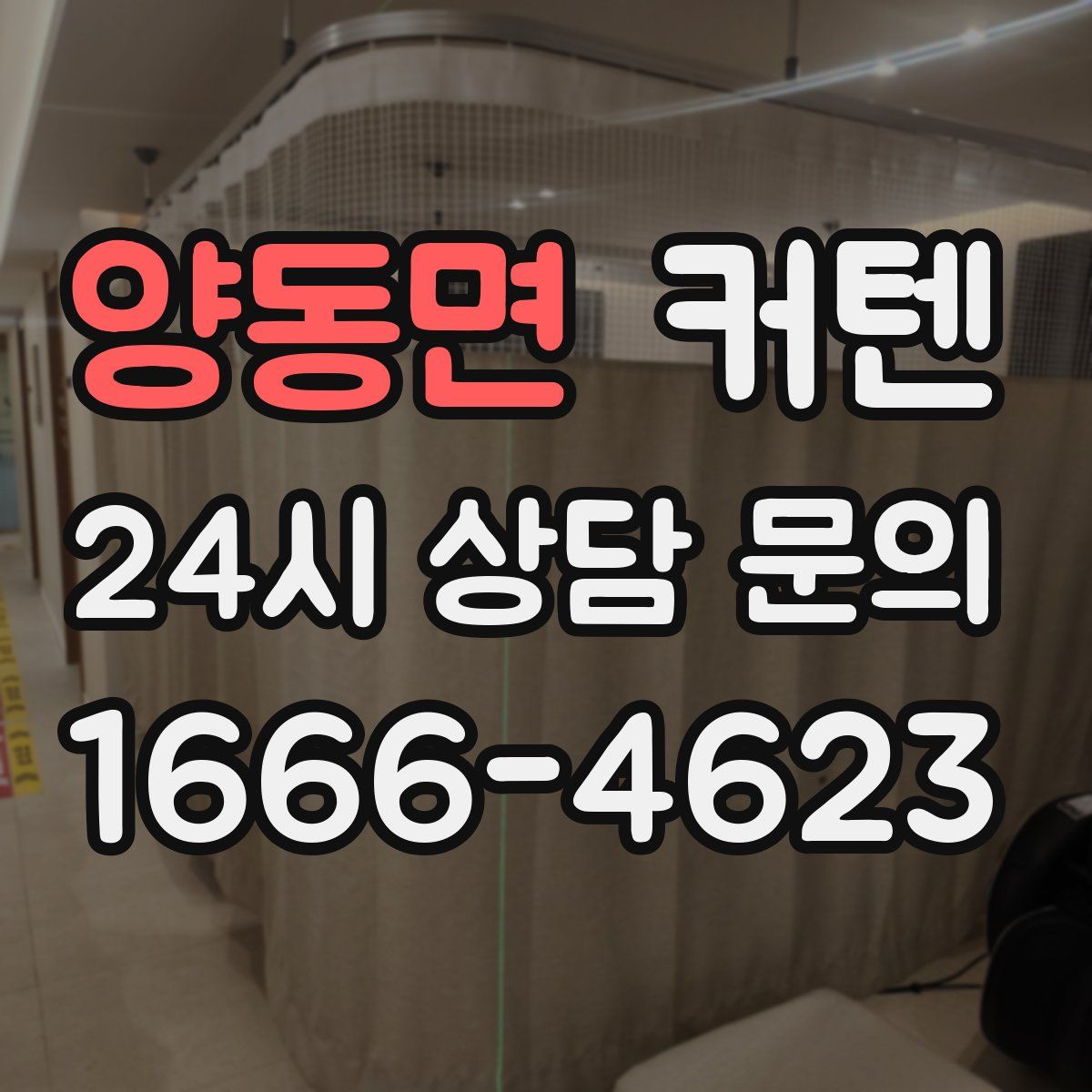 양동면 커텐
