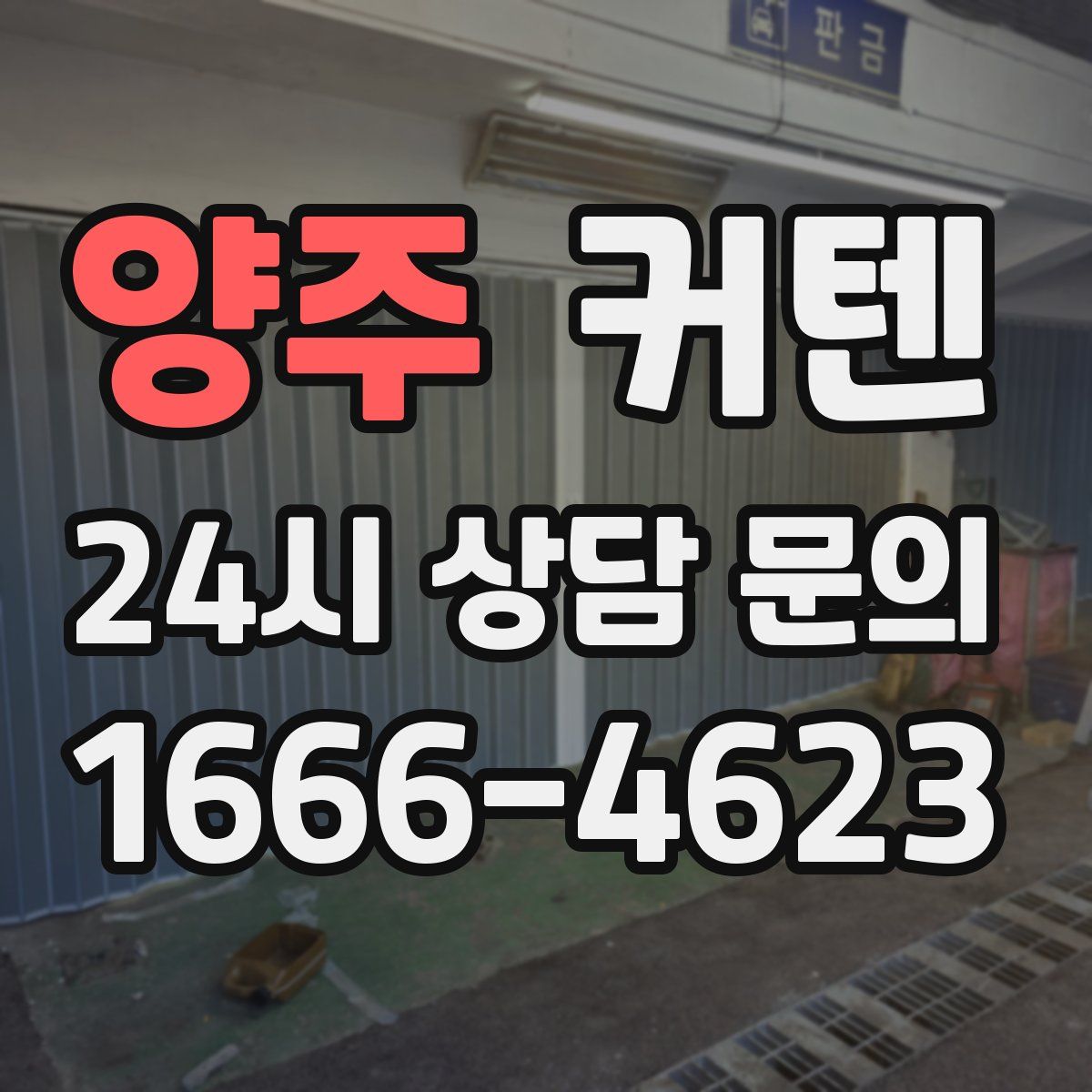 양주 커텐
