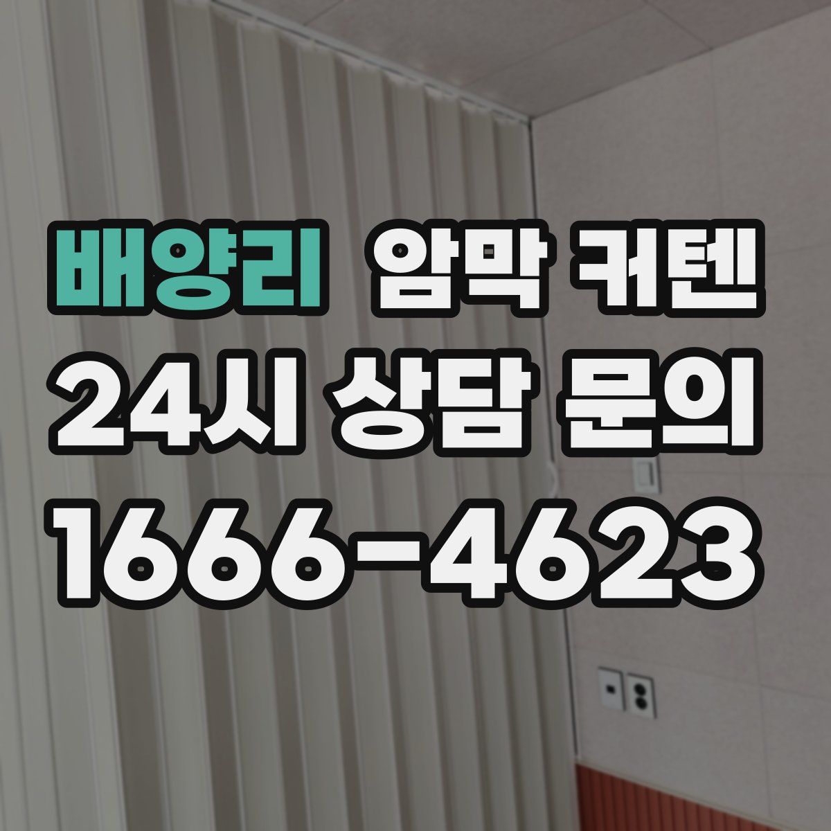 배양리 암막 커텐