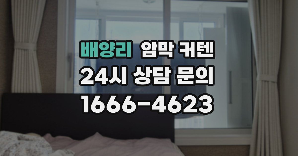배양리 암막 커텐