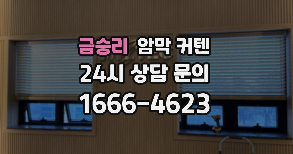 금승리 암막 커텐