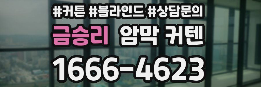 금승리 암막 커텐
