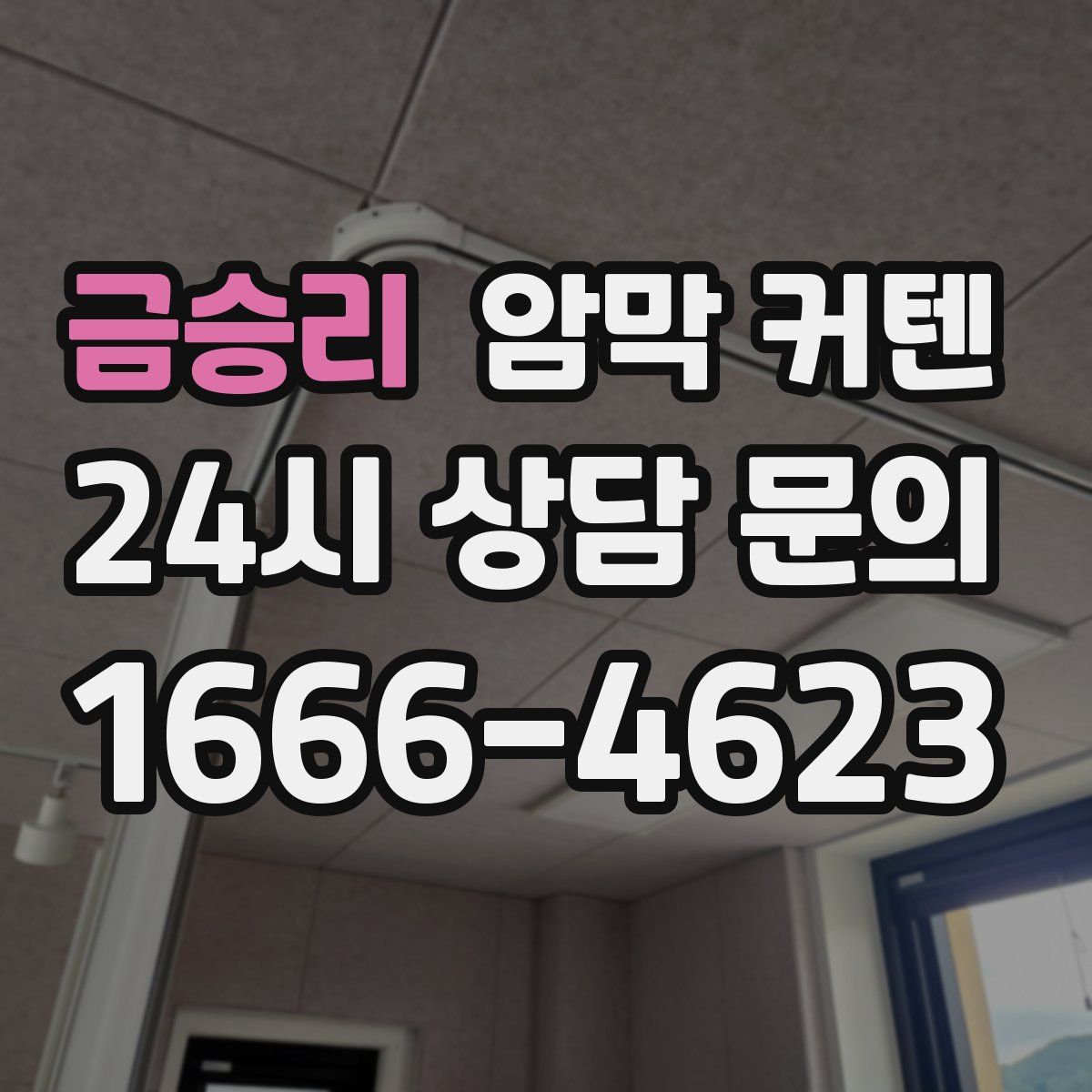 금승리 암막 커텐