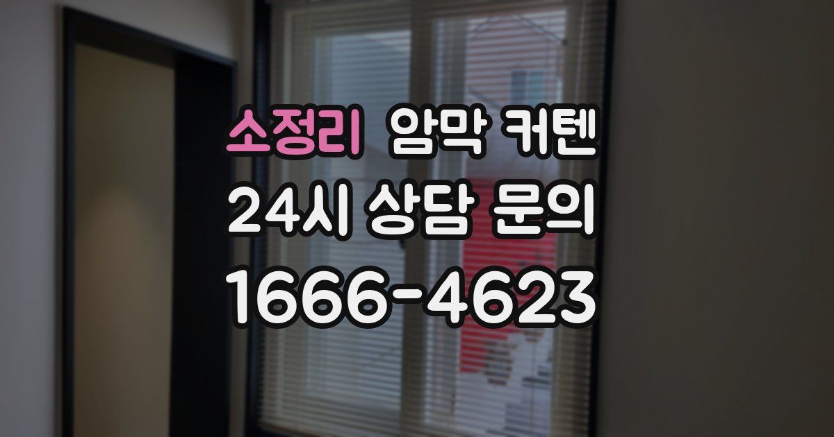 소정리 암막 커텐