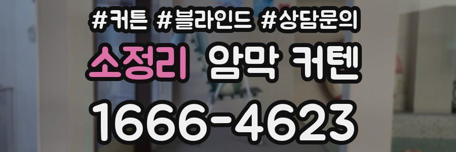 소정리 암막 커텐