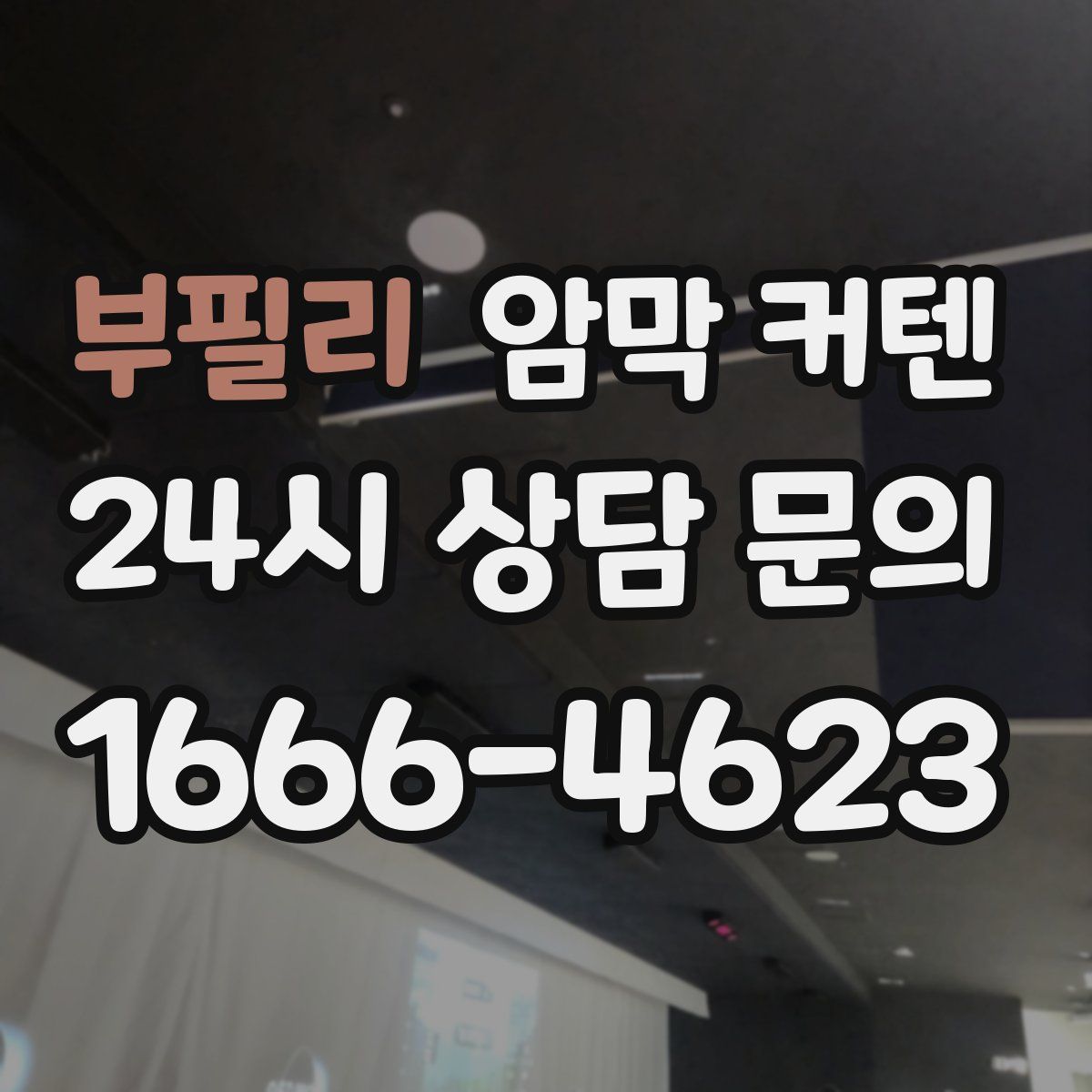 부필리 암막 커텐