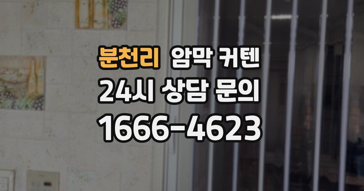분천리 암막 커텐