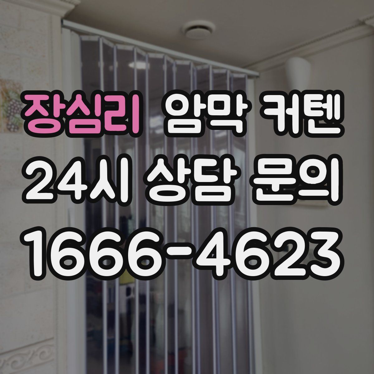 장심리 암막 커텐