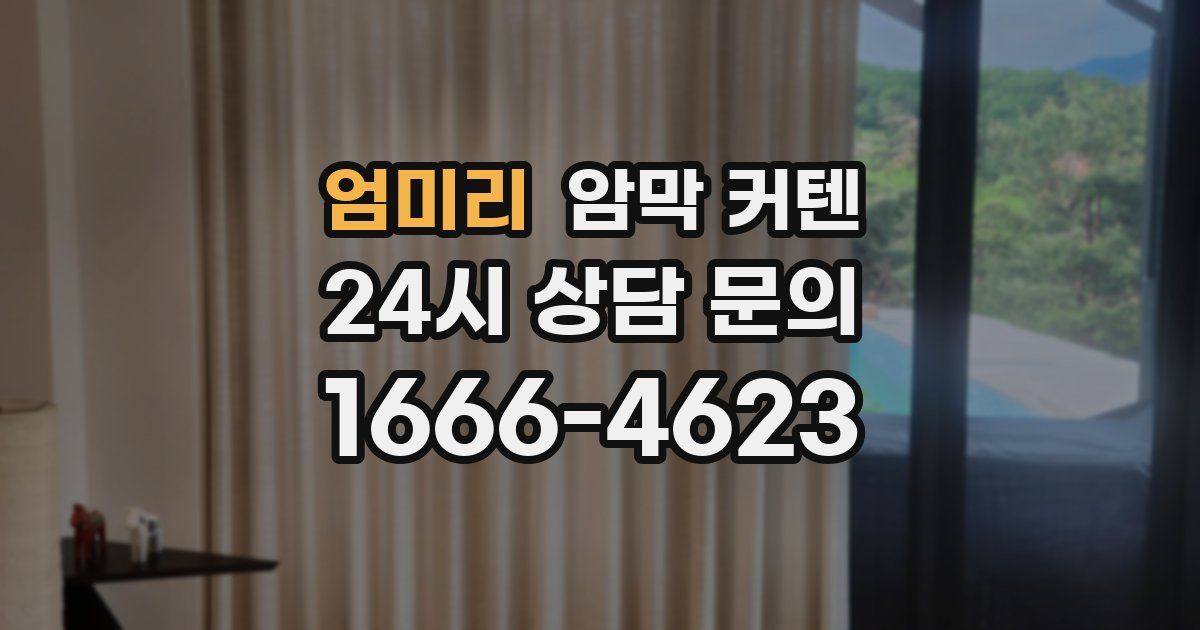 엄미리 암막 커텐