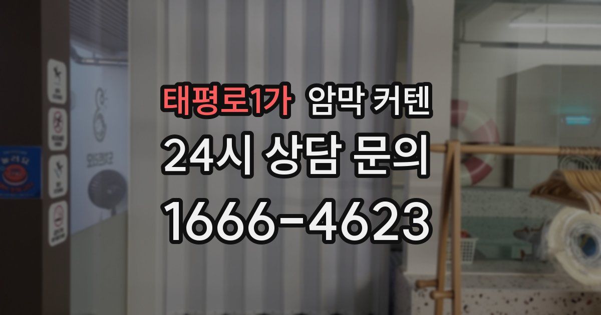 태평로1가 암막 커텐