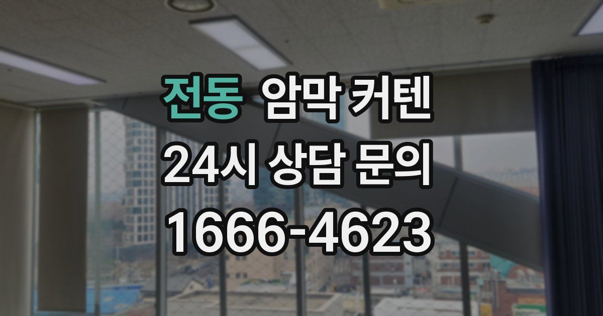 전동 암막 커텐