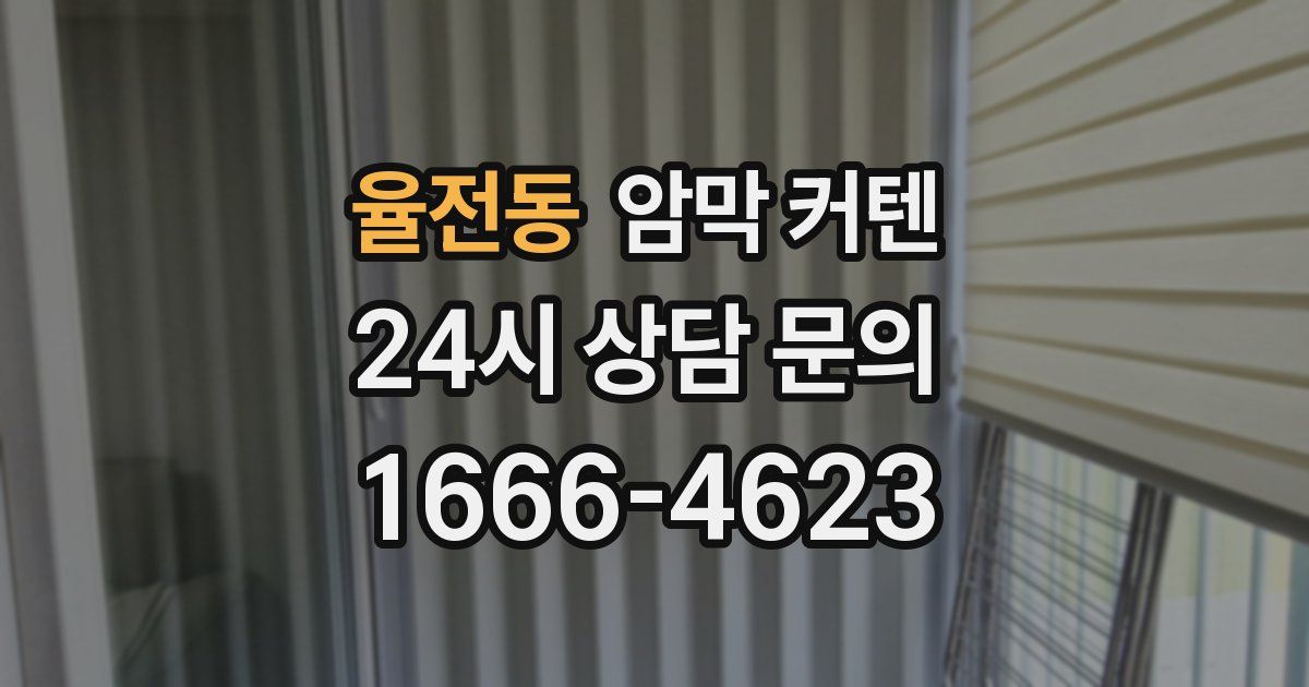 율전동 암막 커텐