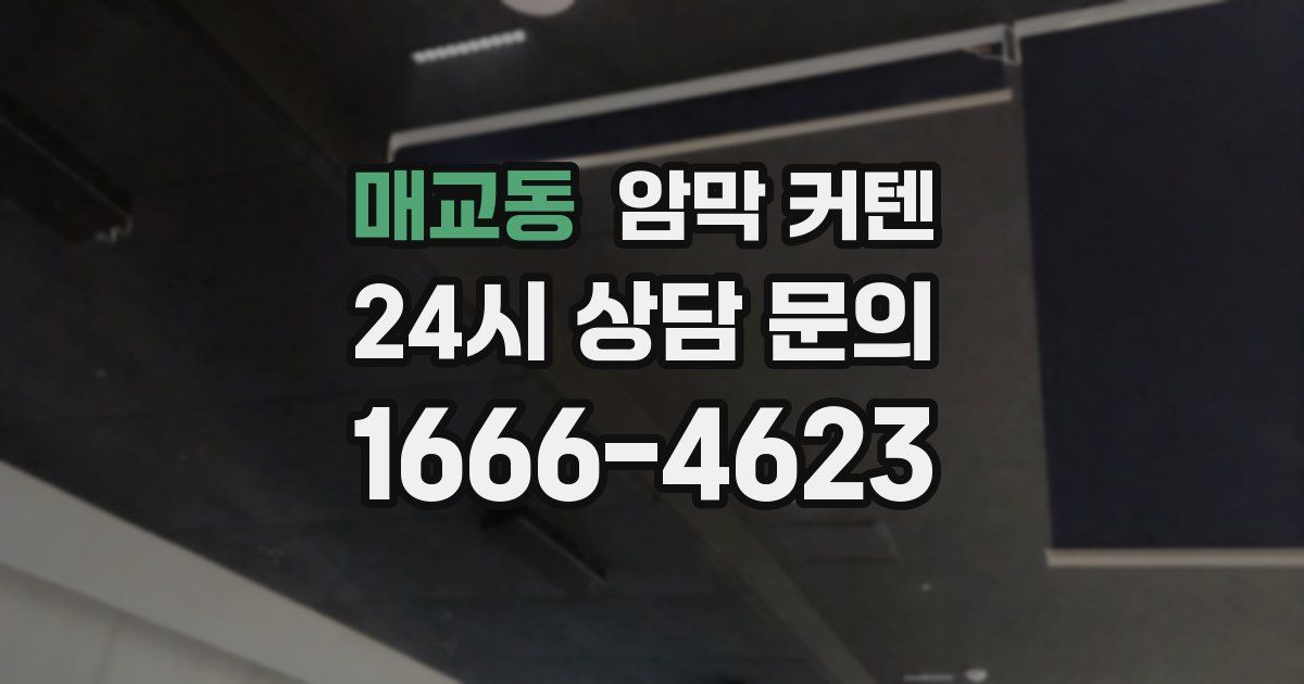 매교동 암막 커텐