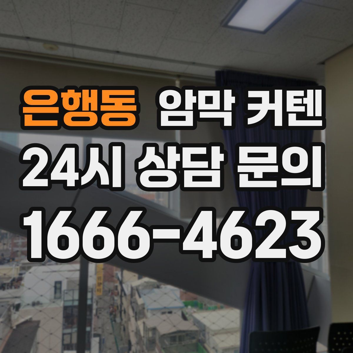 은행동 암막 커텐