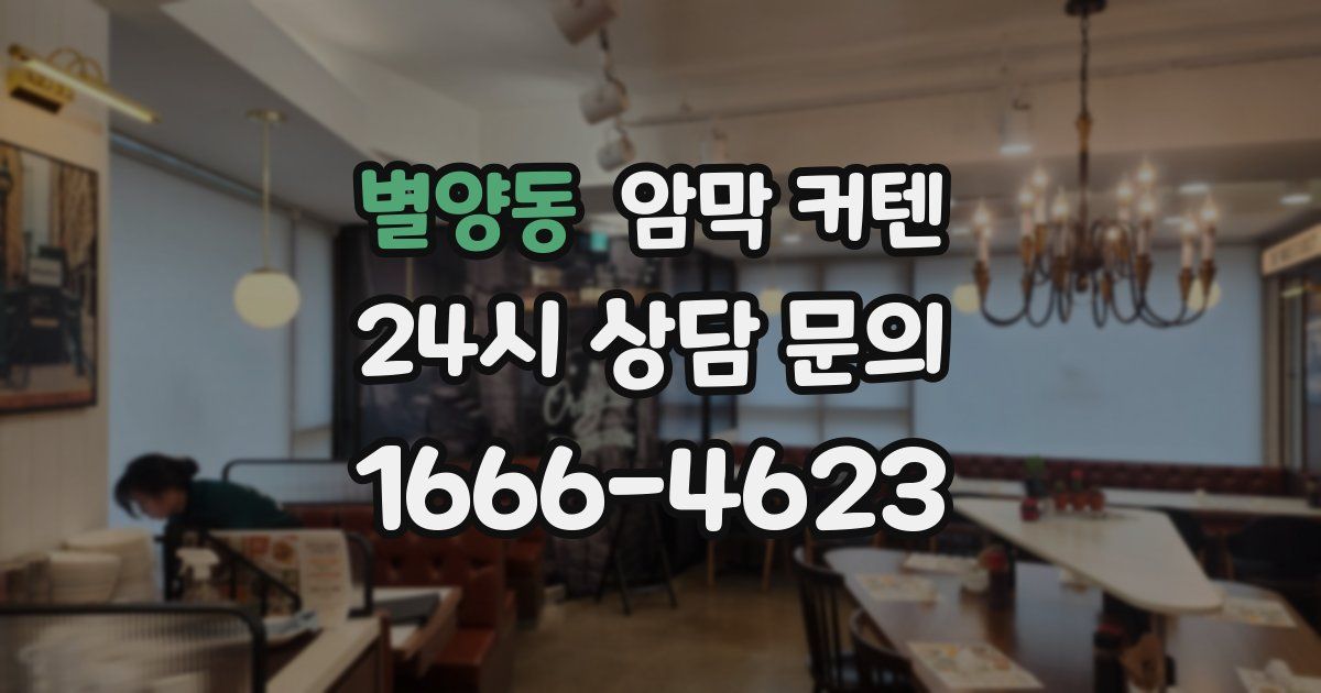 별양동 암막 커텐