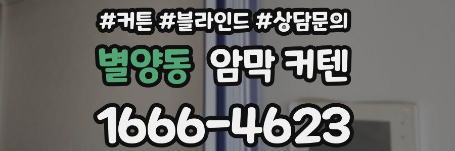 별양동 암막 커텐