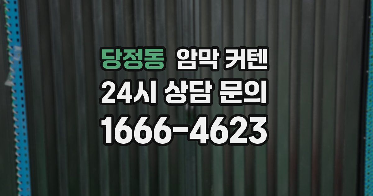 당정동 암막 커텐
