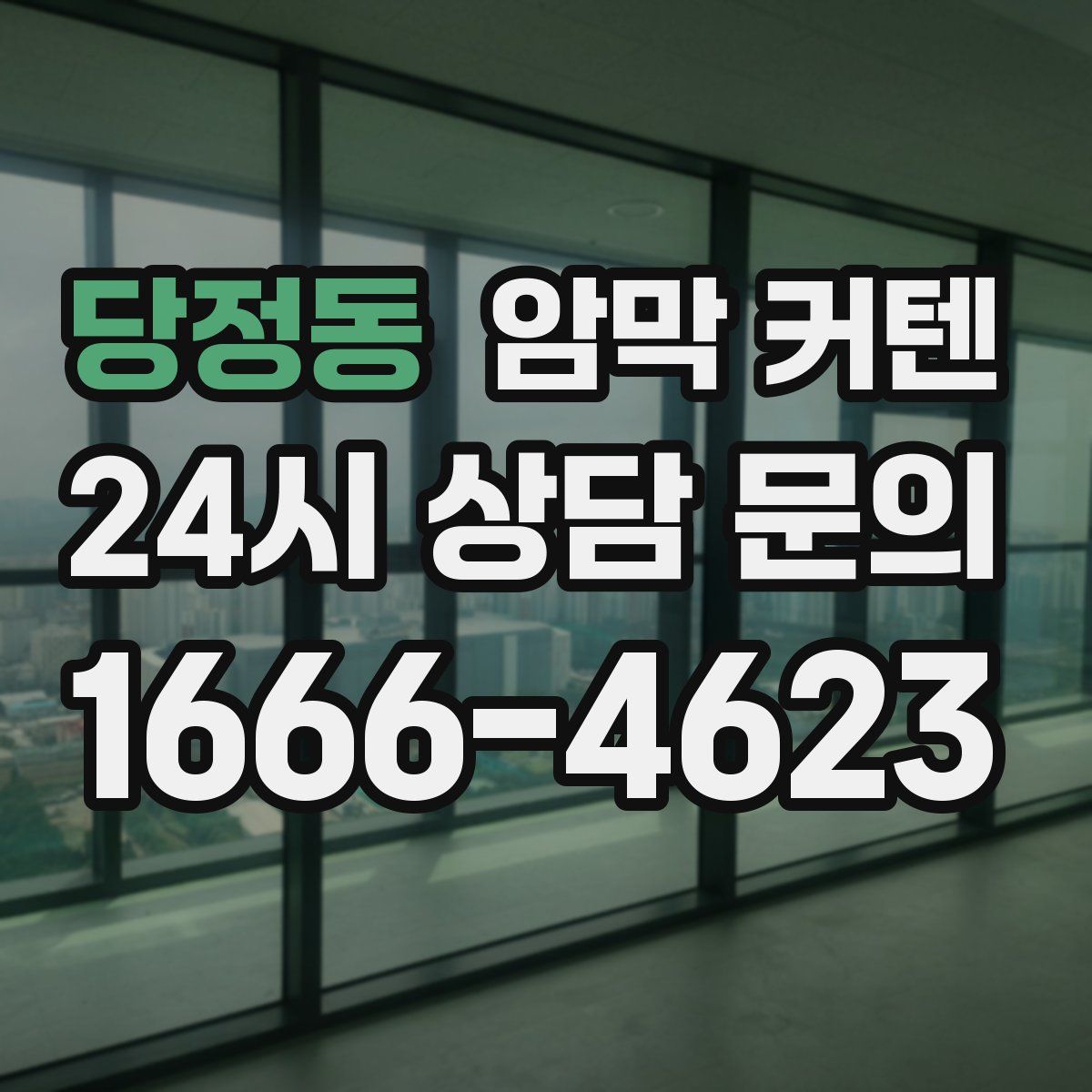 당정동 암막 커텐