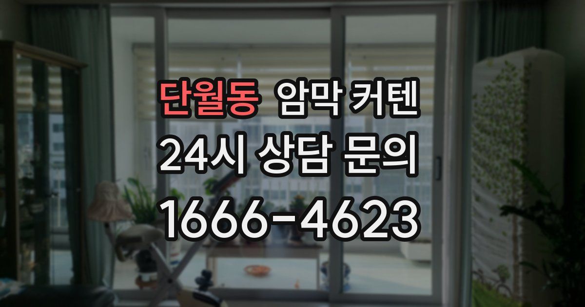 단월동 암막 커텐