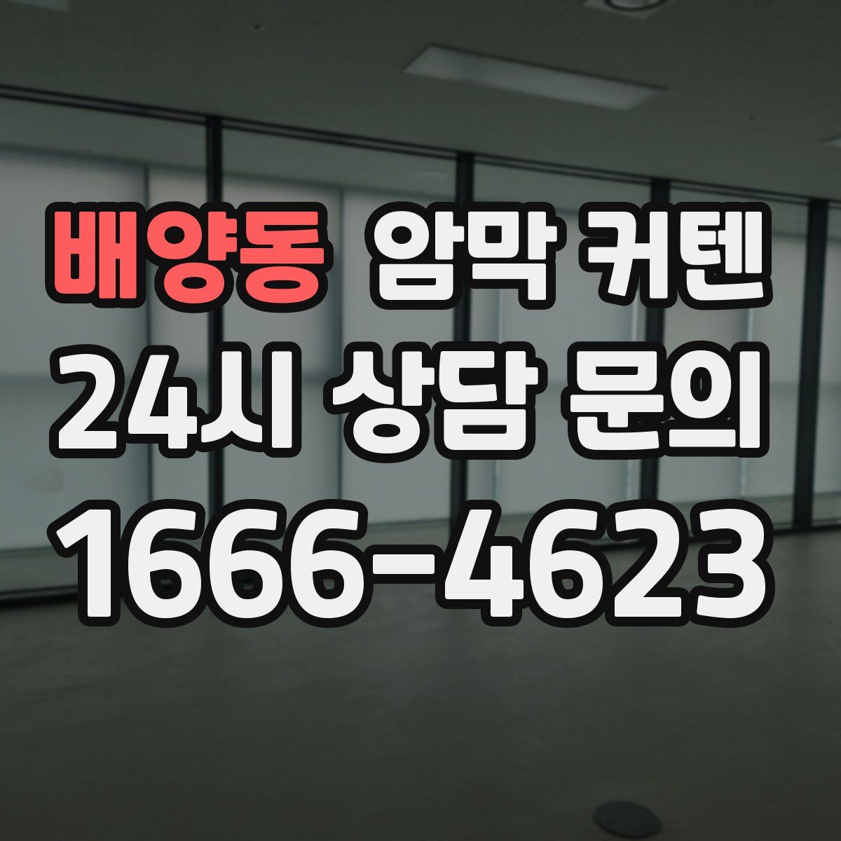 배양동 암막 커텐