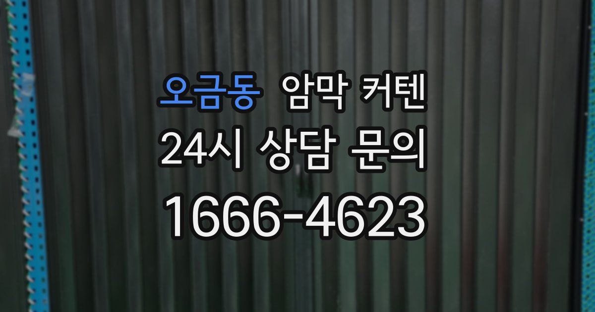 오금동 암막 커텐