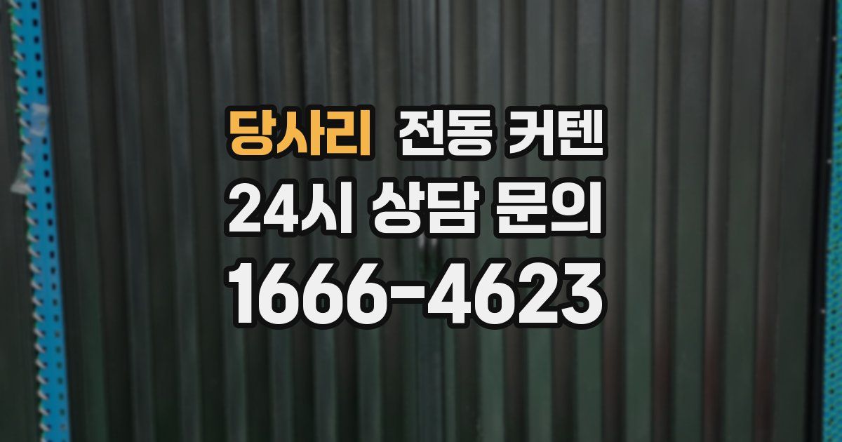 당사리 전동 커텐