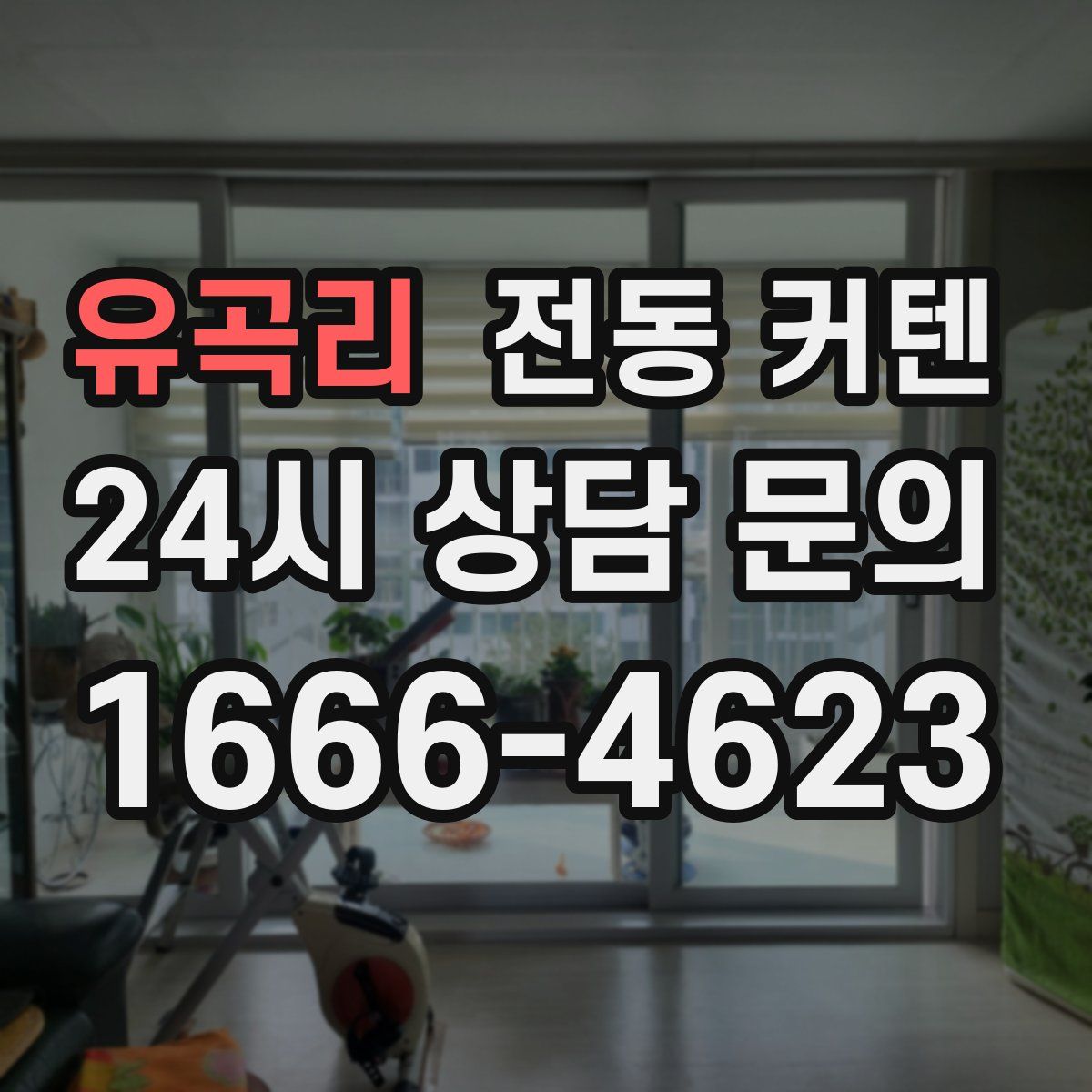 유곡리 전동 커텐