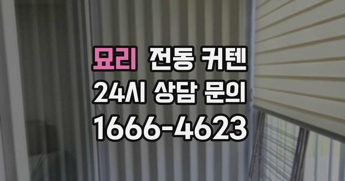 묘리 전동 커텐