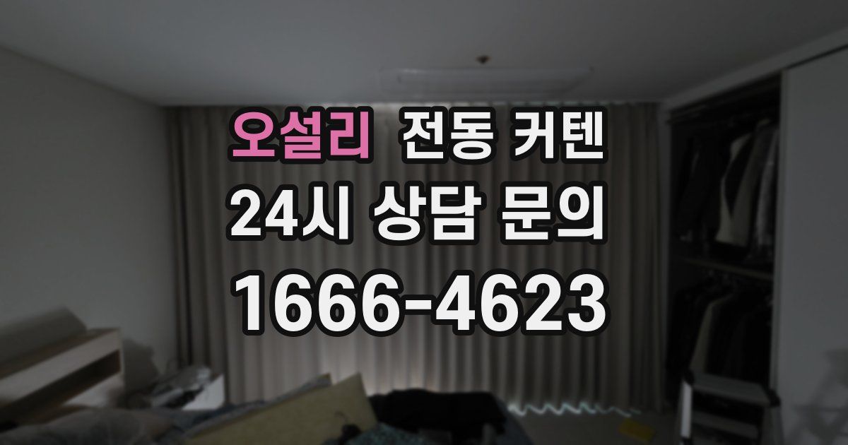 오설리 전동 커텐
