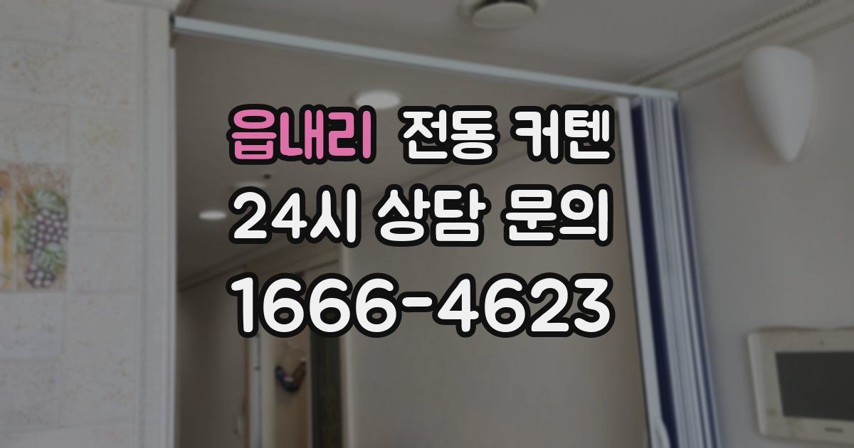 읍내리 전동 커텐