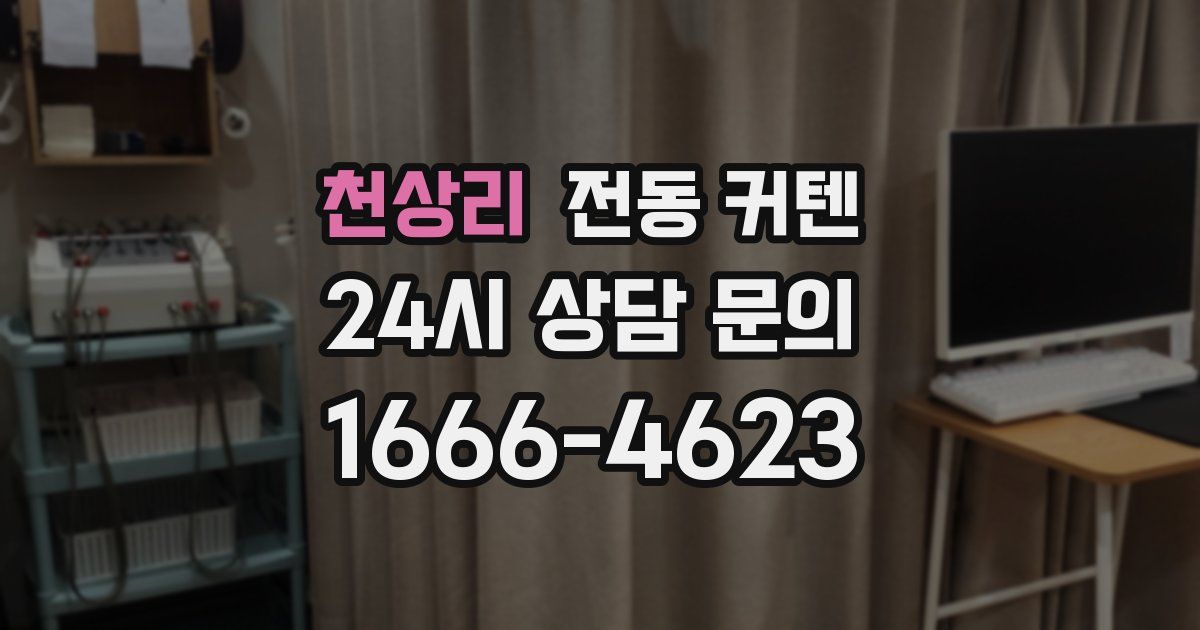 천상리 전동 커텐