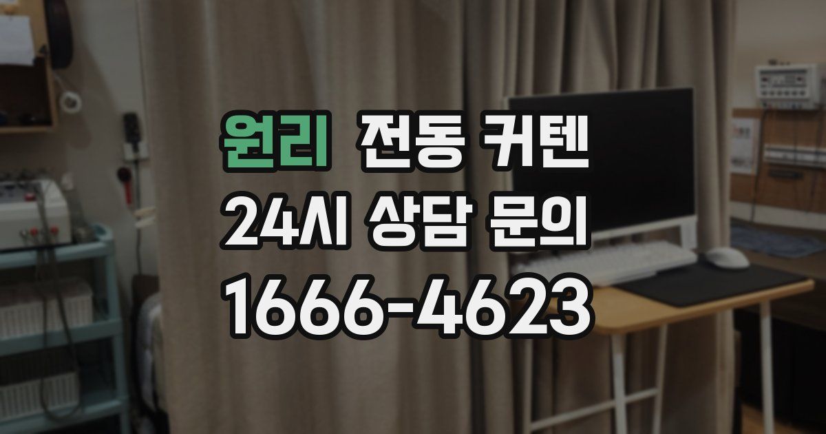 원리 전동 커텐