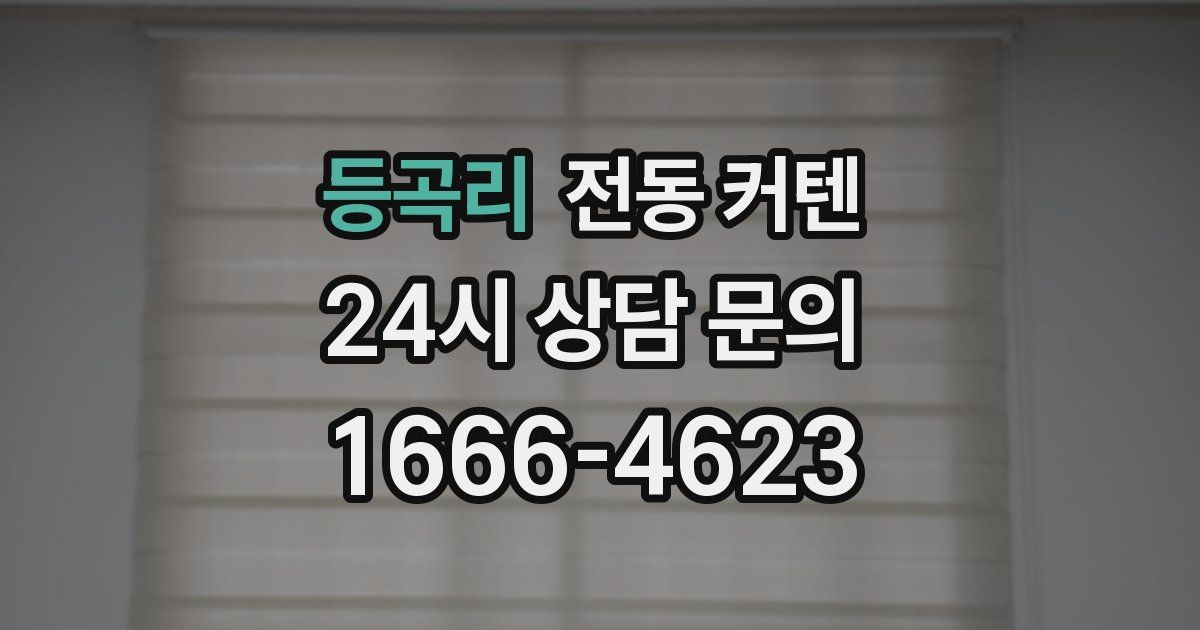 등곡리 전동 커텐