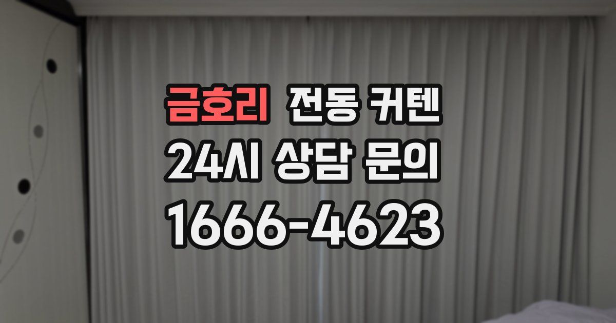 금호리 전동 커텐