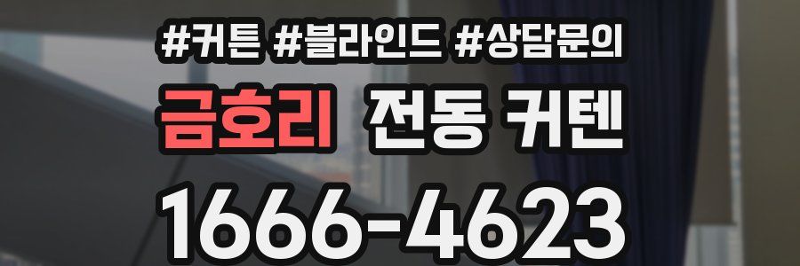 금호리 전동 커텐