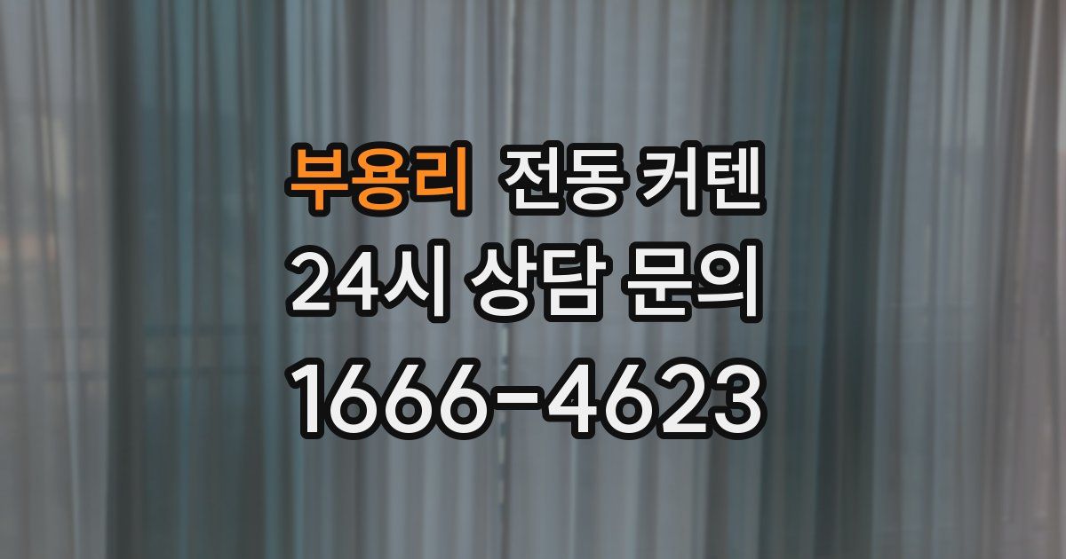 부용리 전동 커텐