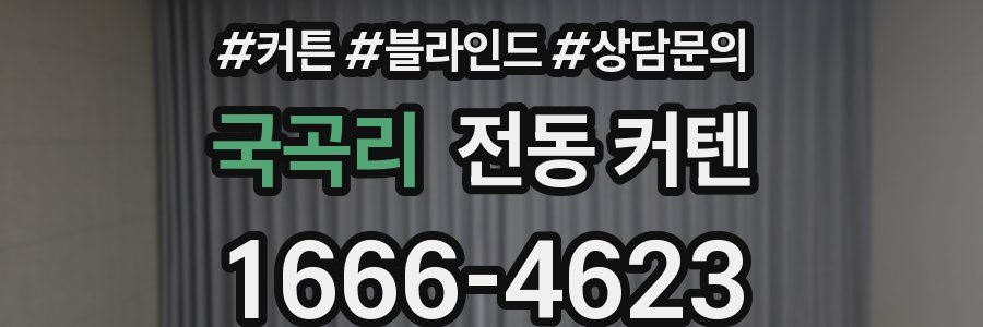 국곡리 전동 커텐