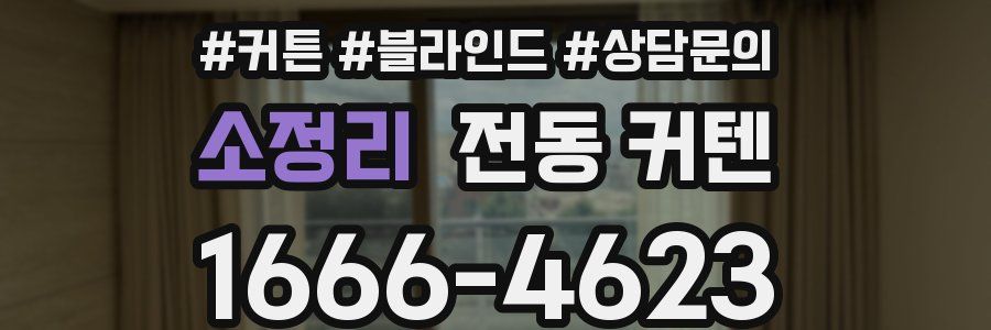 소정리 전동 커텐